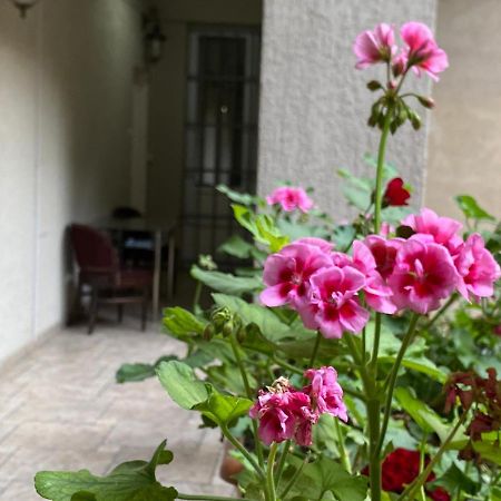 Hotel Blissdom Tbilisi Eksteriør bilde