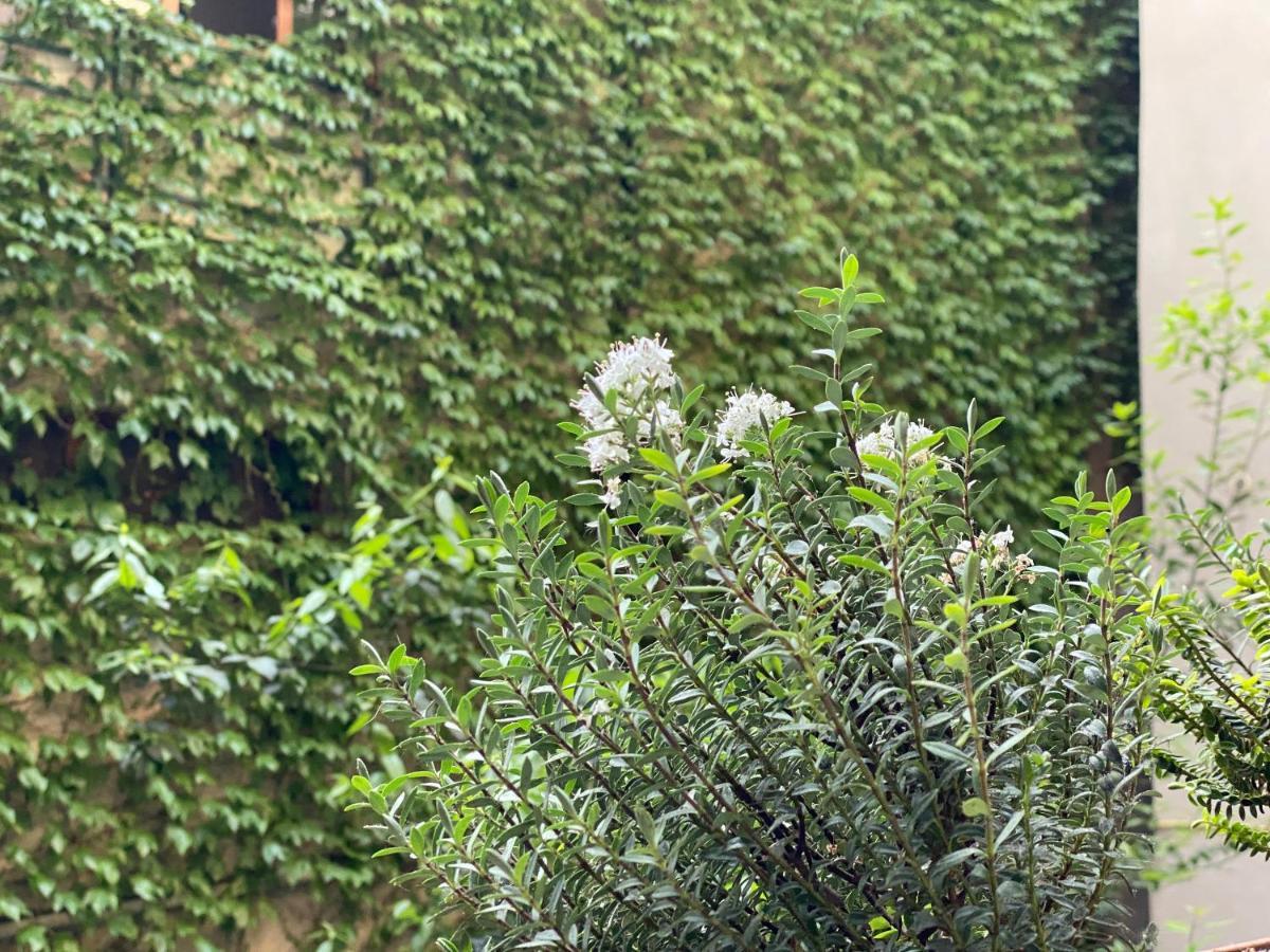Hotel Blissdom Tbilisi Eksteriør bilde